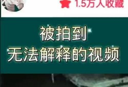 奇闻爆料解说视频大全集,视频大全集带你探索神秘世界